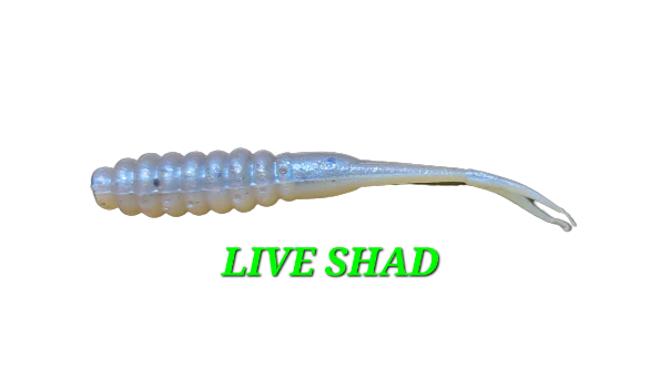Split Tail Fry - Live Shad
