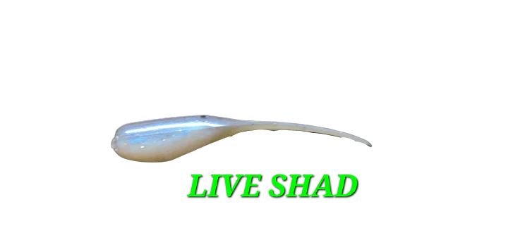 Sho-Me Shad - Live Shad