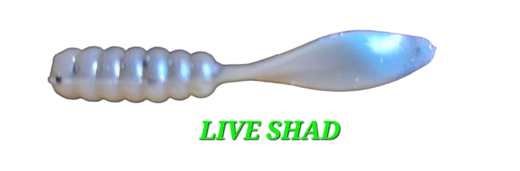 Slab Slapper - Live Shad
