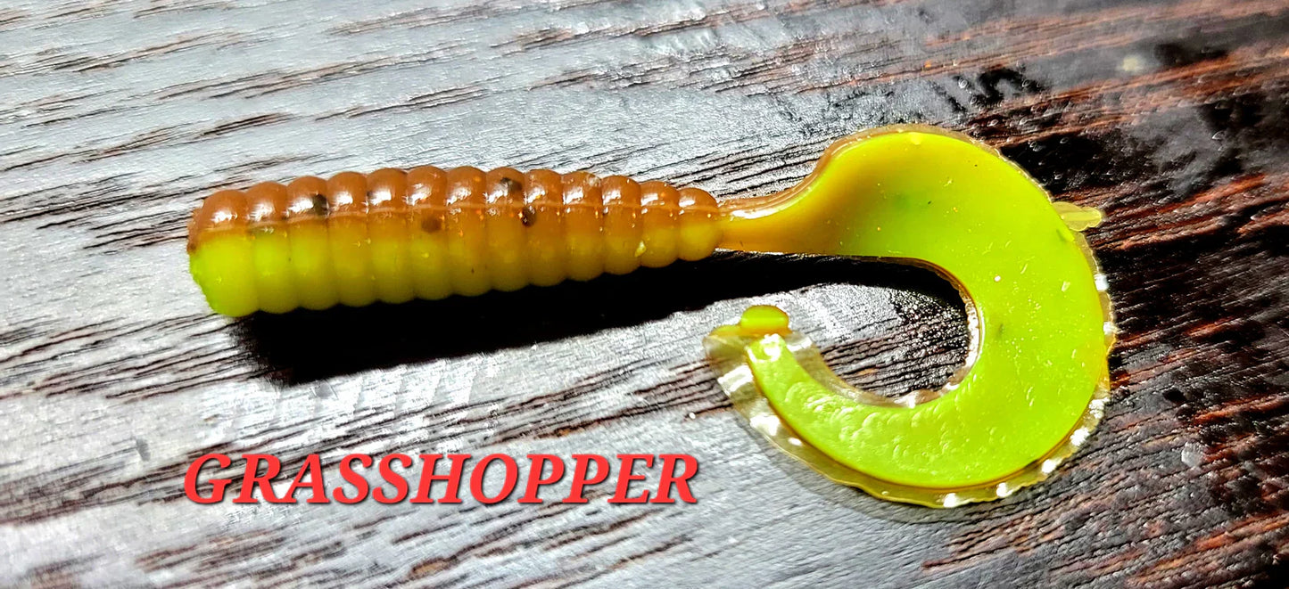 Curly Grub - Grasshopper