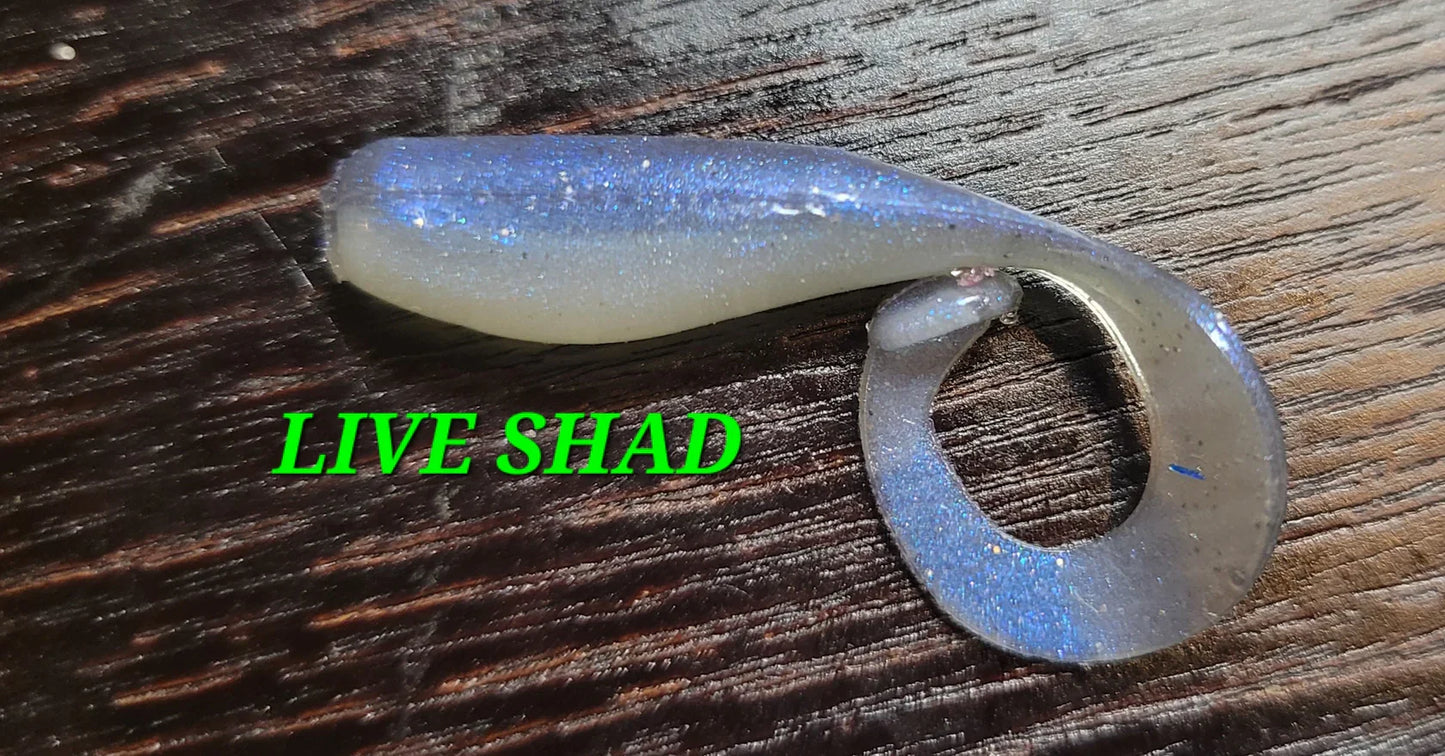 Fat Boy - Live Shad