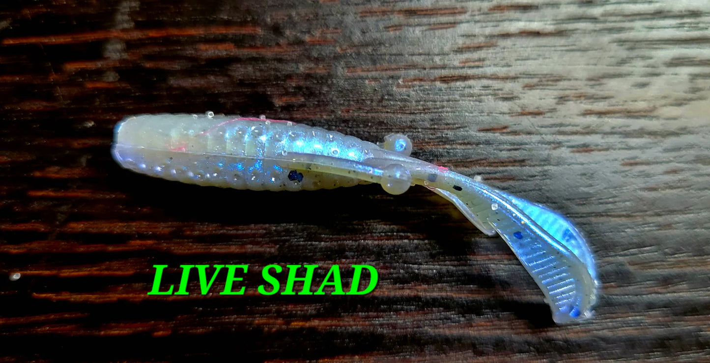 Mini Mud Bug - Live Shad