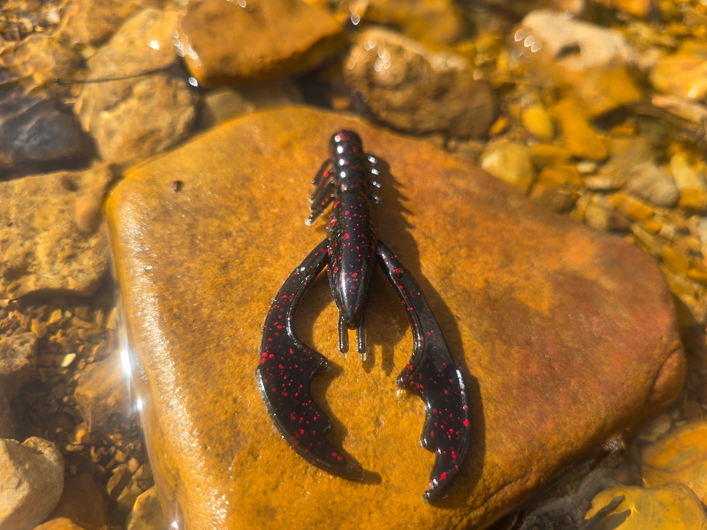 Gasconade Craw - Black Cherry