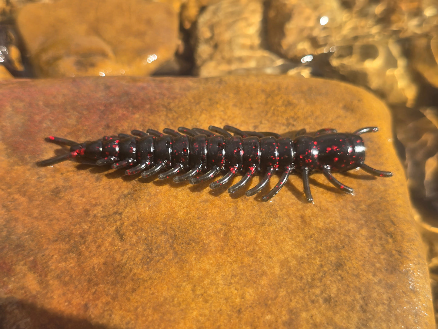 Hellgrammite - Black Cherry
