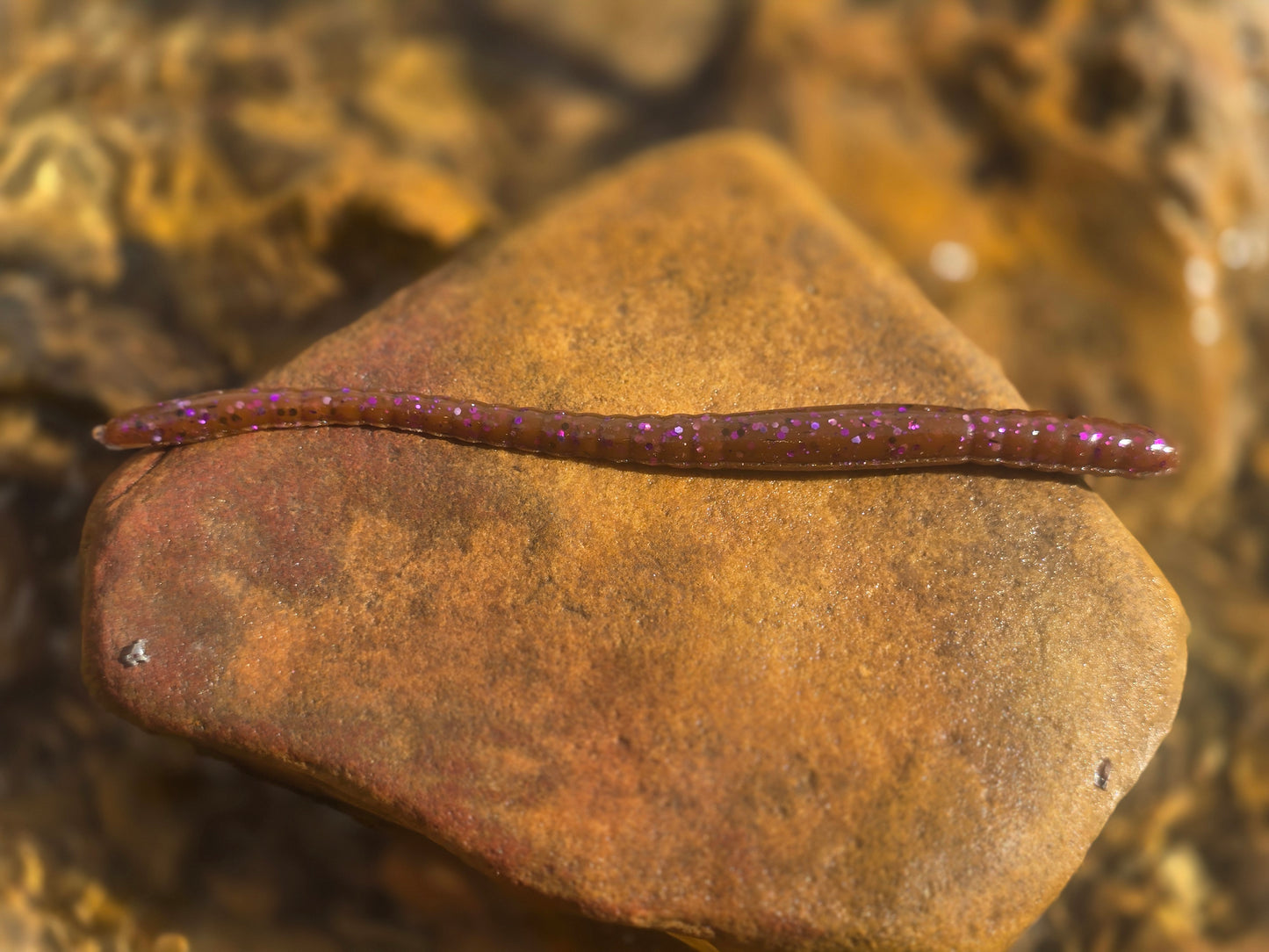 Mountain Wiggler - Perky Murky