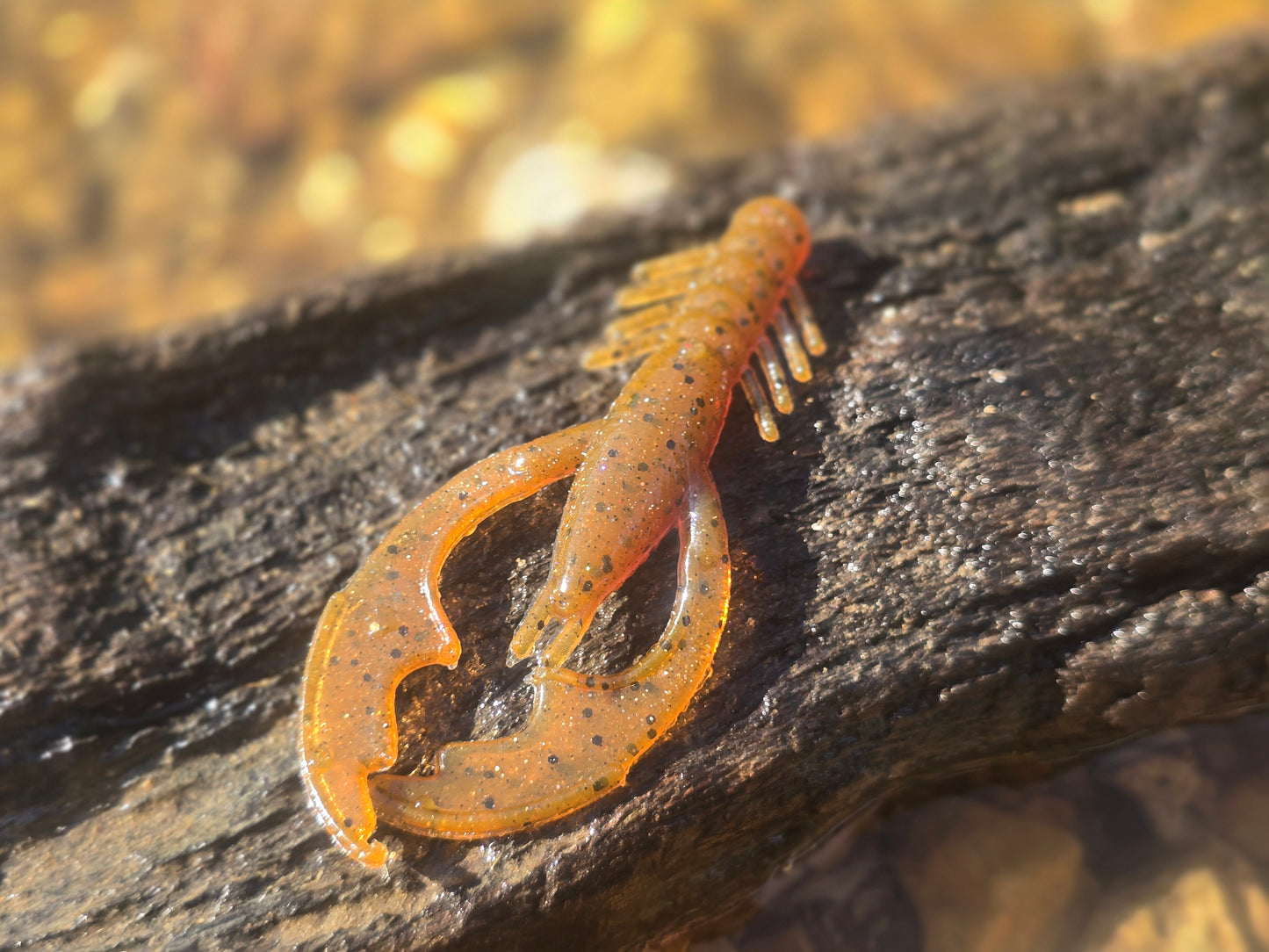 Gasconade Craw - Pumpkin Seed