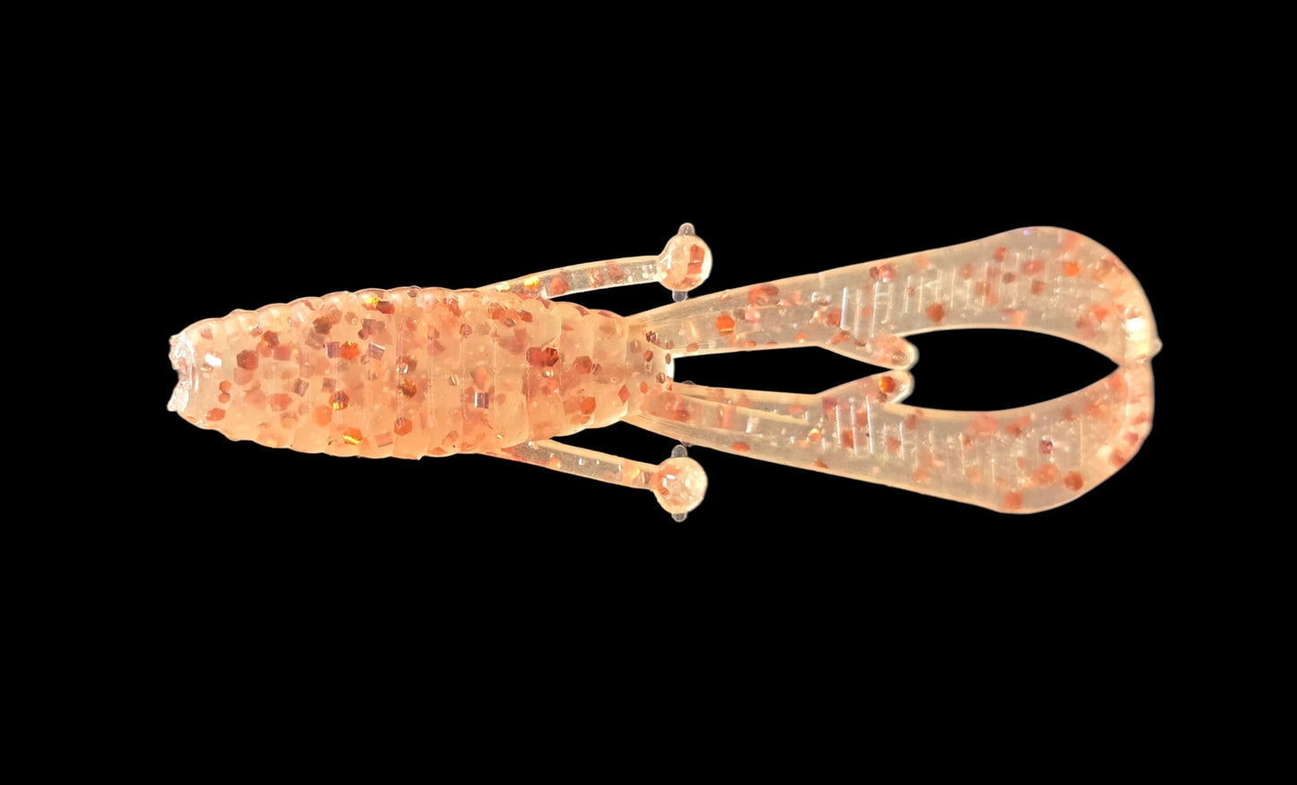Mini Mud Bug - Grass shrimp