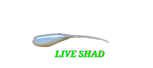 Sho-Me Shad - Live Shad