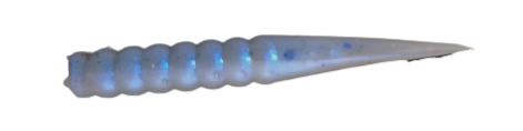 Itty Bitty - Live Shad