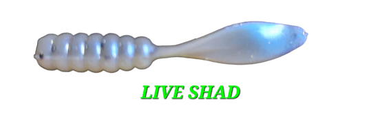 Slab Slapper - Live Shad