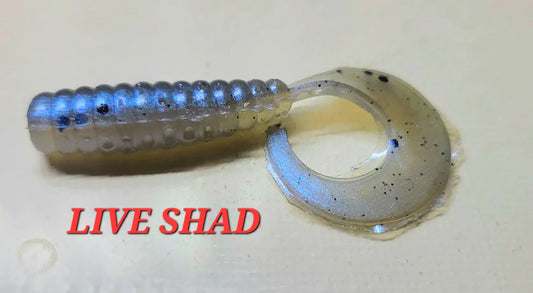 Curly Grub - Live Shad