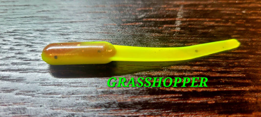 Missouri Minnow - Grasshopper