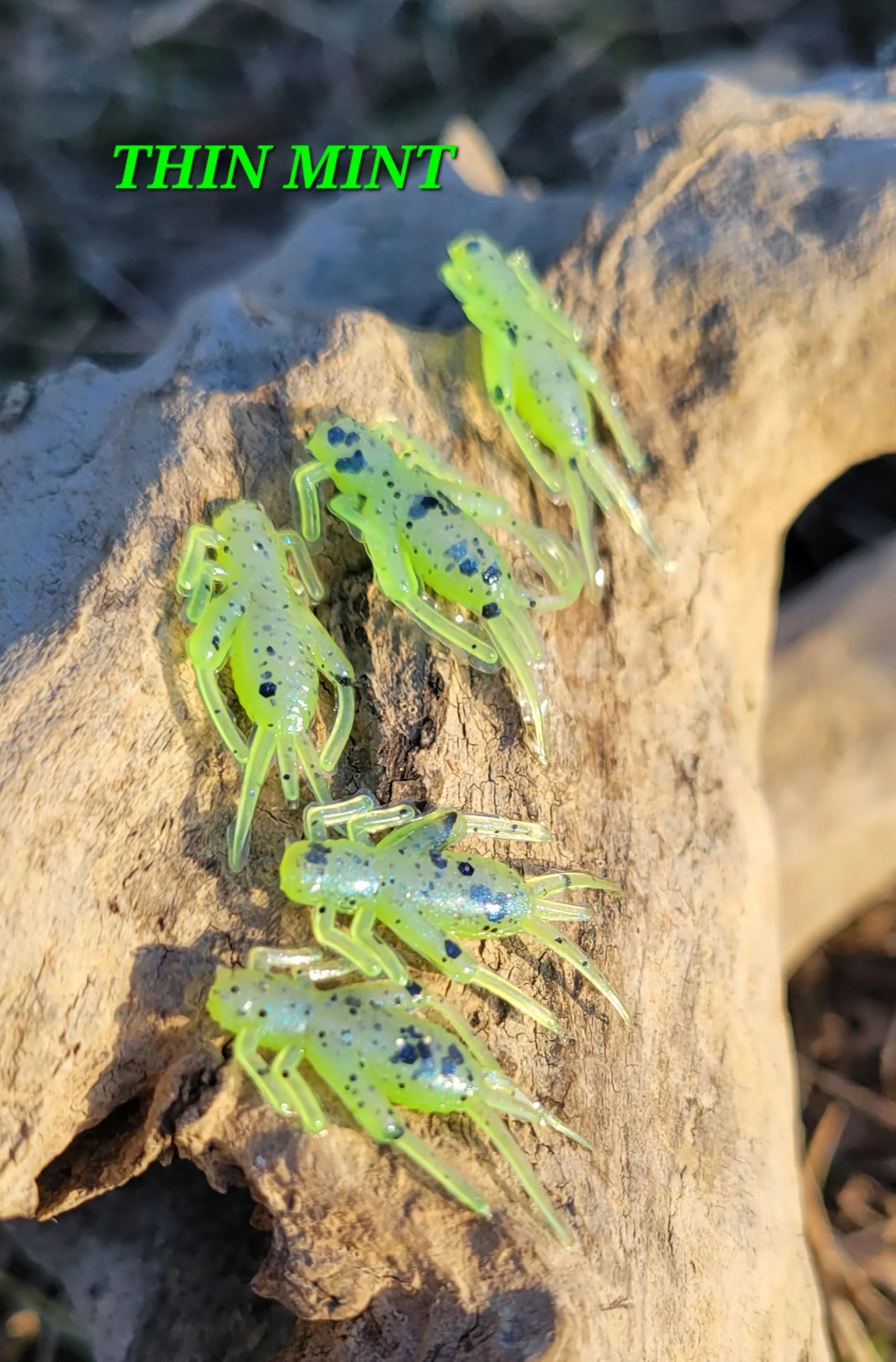 Bluegill Bundle - Thin Mint
