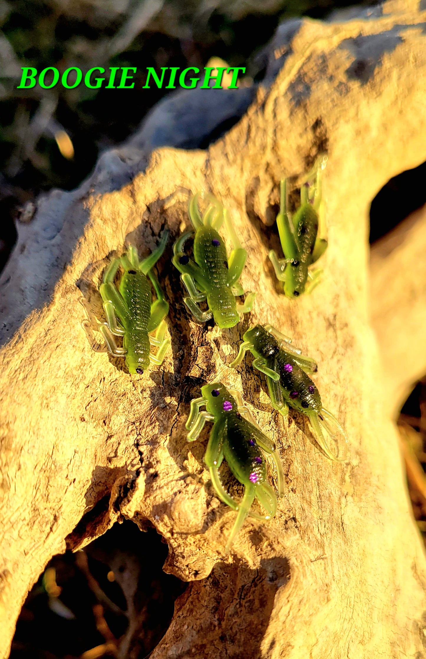 Crazy cricket