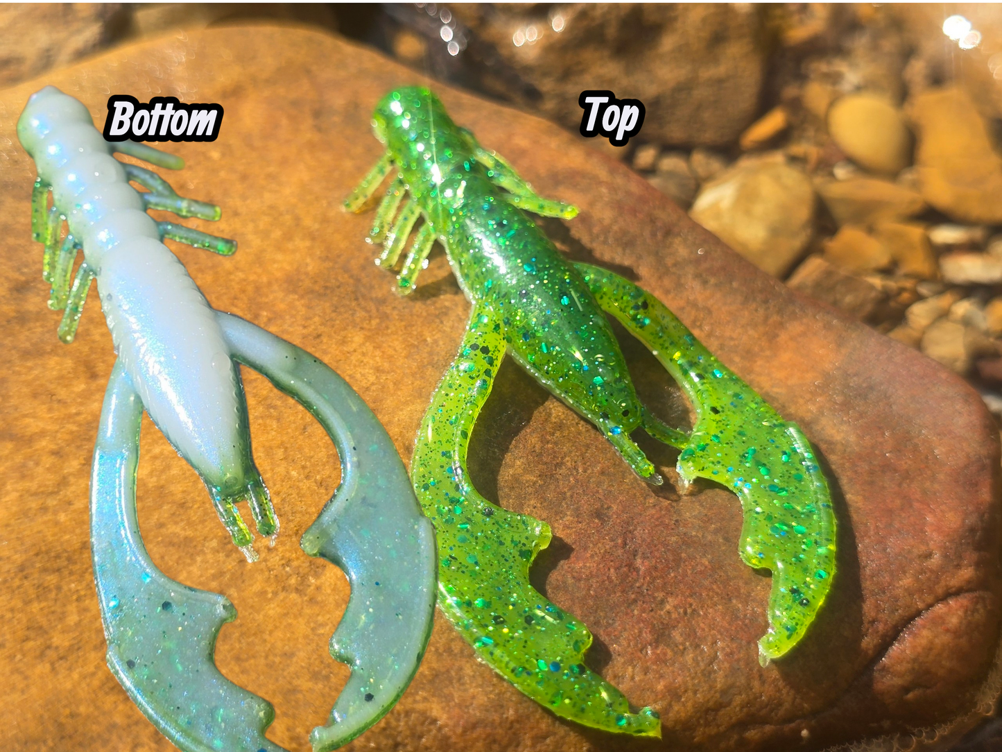 Gasconade Craw - Grassy Shad