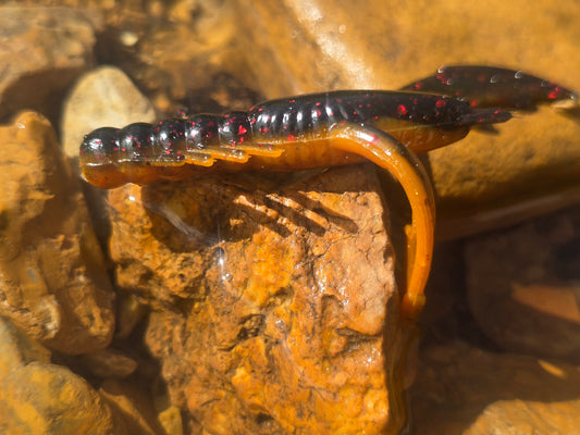 Gasconade Craw - Muddy Bug
