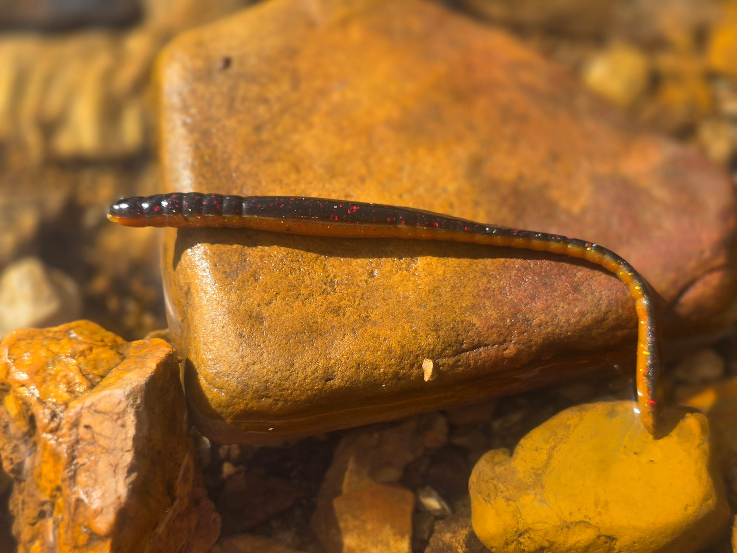 Mountain Wiggler - Muddy Bug
