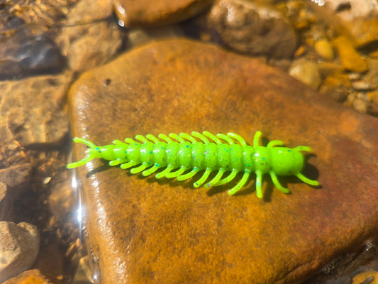 Hellgrammite - Speckled Shad