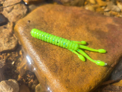 Nutty Ned - Speckled Shad