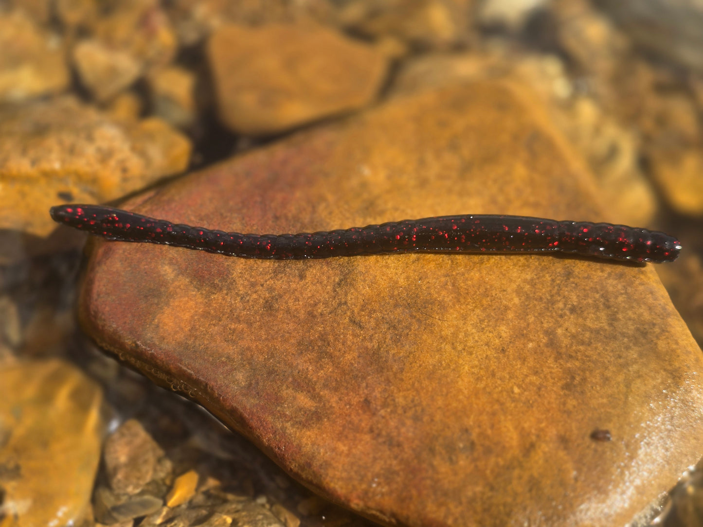 Mountain Wiggler - Black Cherry