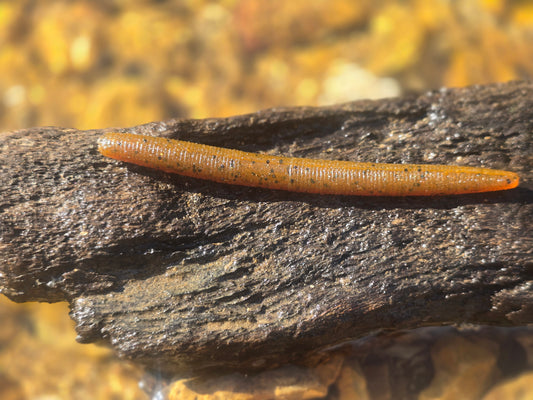 Sho-Me Stick - Pumpkin Seed