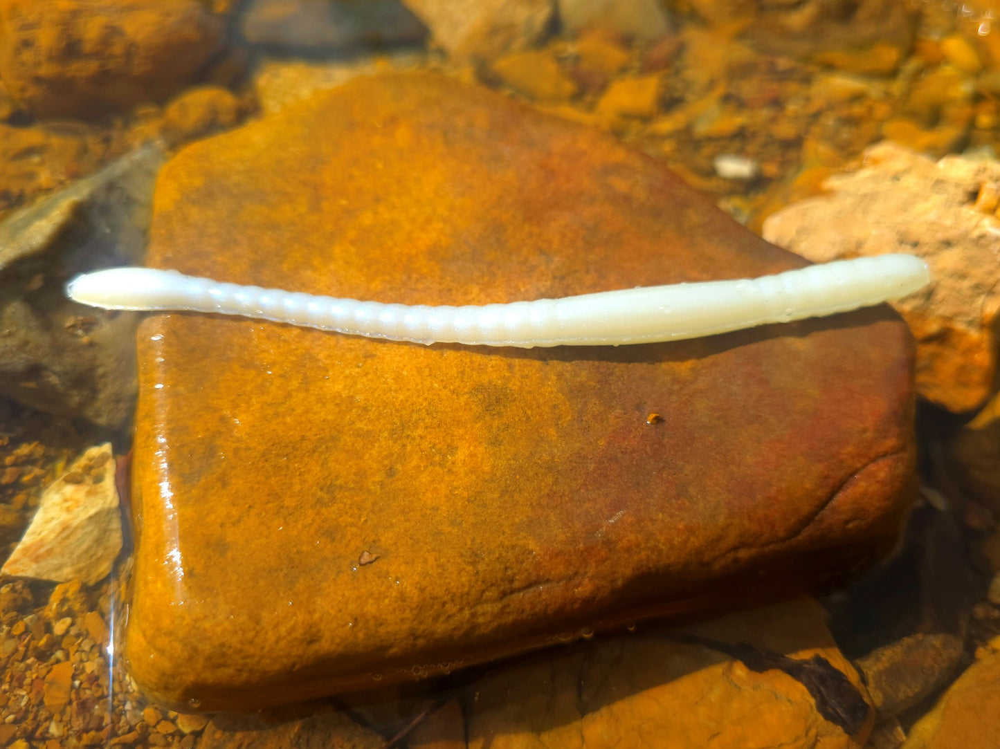 Mountain Wiggler - Pearl Shad