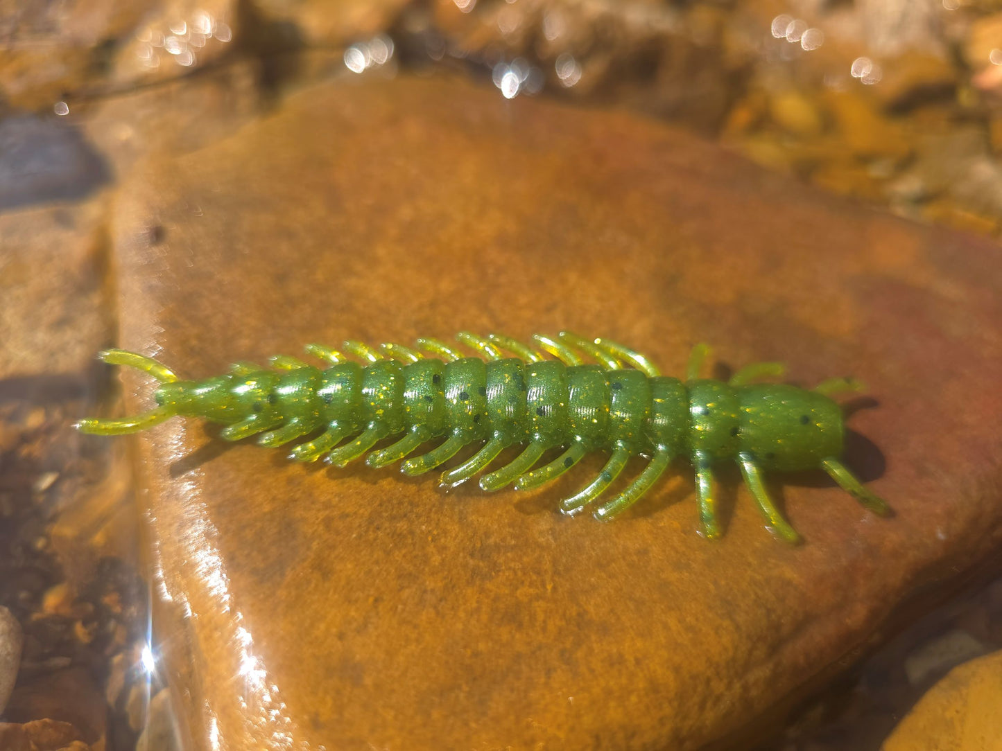 Hellgrammite - Gasconade Green